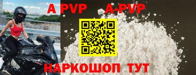дурь Кингисепп